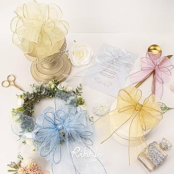 Amazon.com: Ribbli White Organza Wired Ribbon, White Sheer